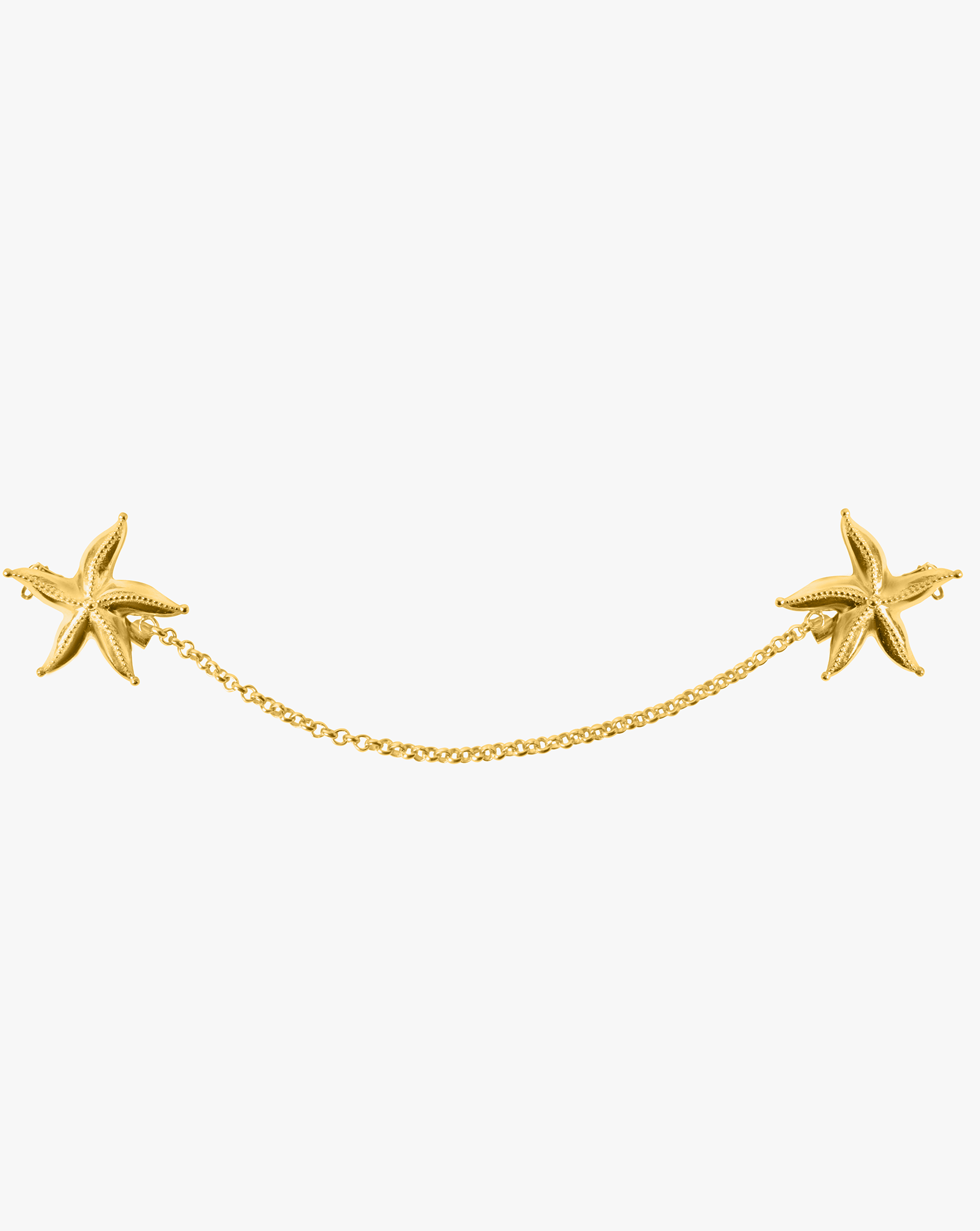 Sea Star Link Brooch